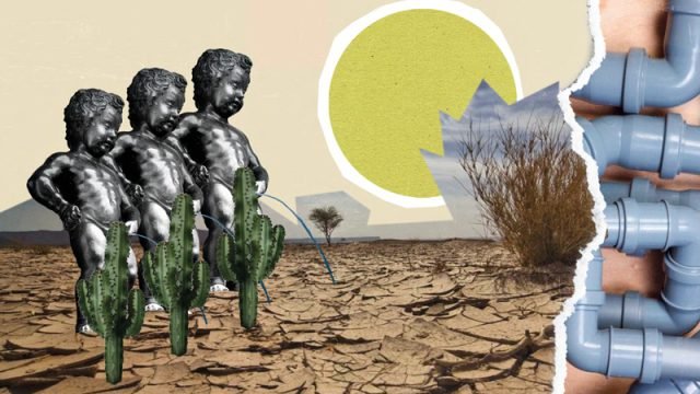 W.C. Challenge: reinventar el inodoro